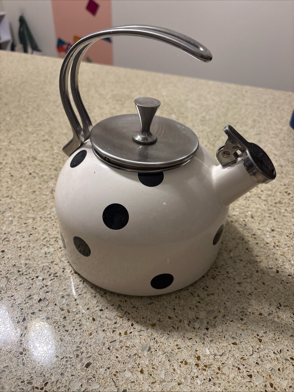 White Polka Dot Tea Kettle with Stainless Steel Handle Kate spade and Lenox